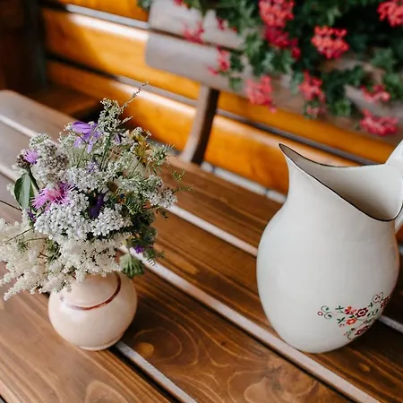 Domek alpejski Challet Tonka Zuberzec